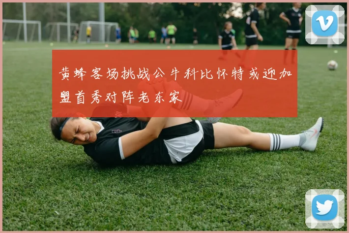 黄蜂客场挑战公牛科比怀特或迎加盟首秀对阵老东家