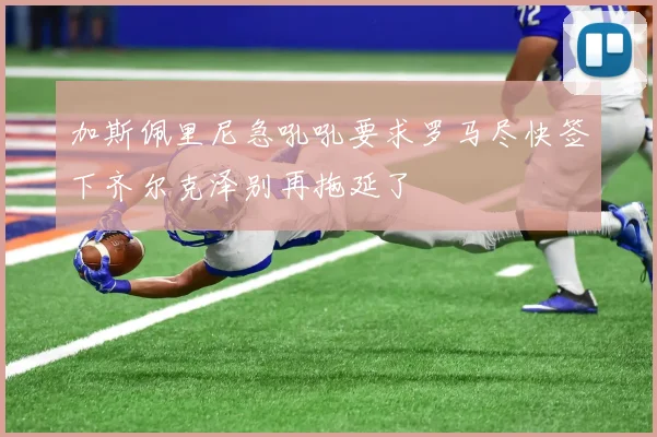 加斯佩里尼急吼吼要求罗马尽快签下齐尔克泽别再拖延了