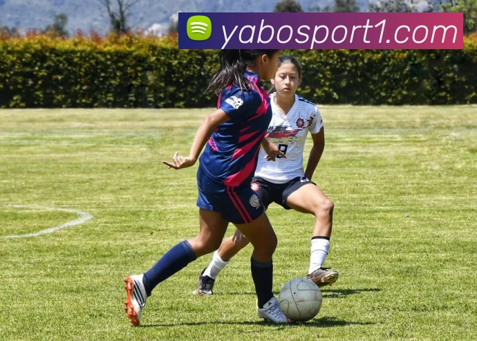 App Interface Preview