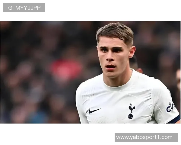 谢林汉姆称赞热刺中卫组合范德芬与罗梅罗为英超顶尖之选