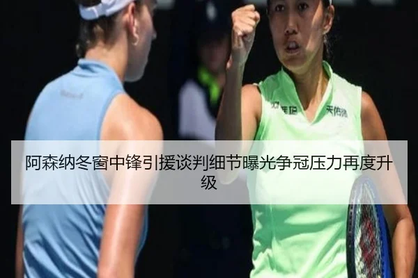 阿森纳冬窗中锋引援谈判细节曝光争冠压力再度升级 | YaboSports